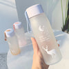 Reusable Frosted Glass Water Bottle Leak Proof